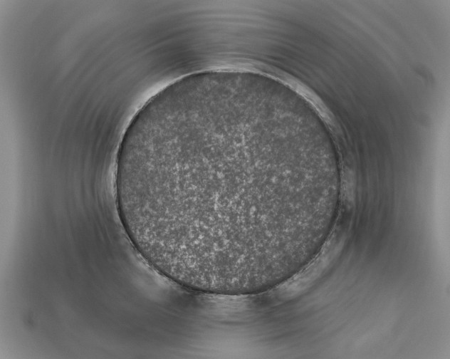 X0000113270856200909241542
