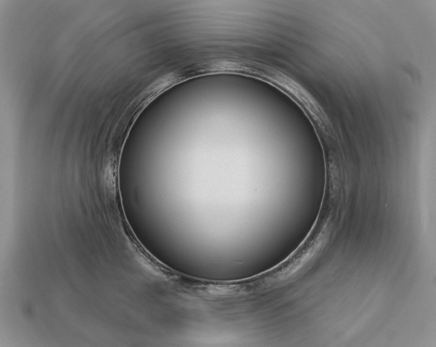 X0000113270857200909241542