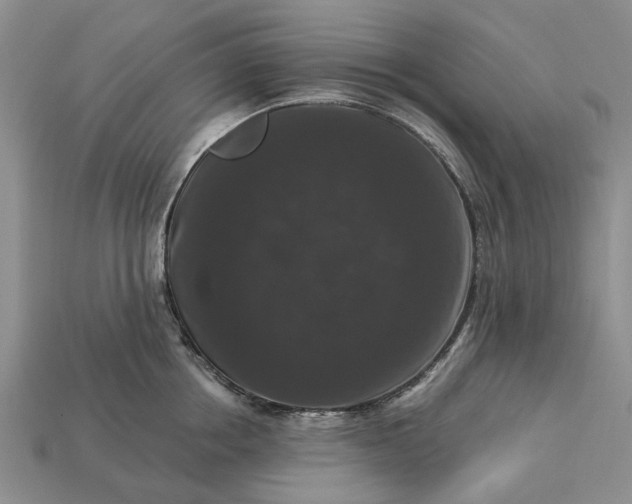 X0000113270858200909241542
