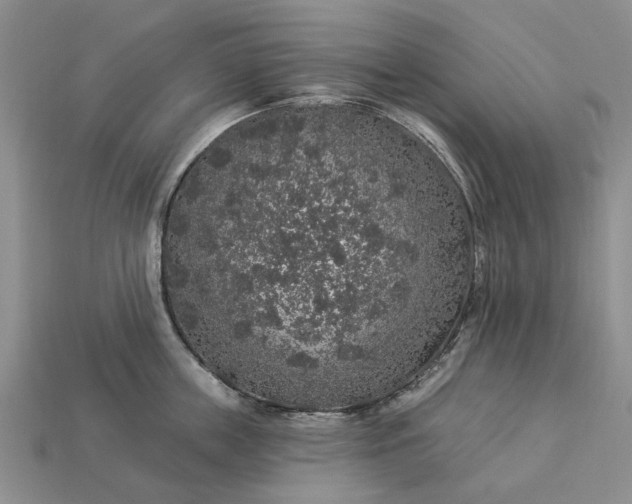 X0000113270859200909241542