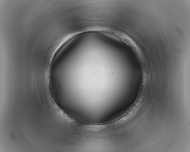 X0000113270860200909241542