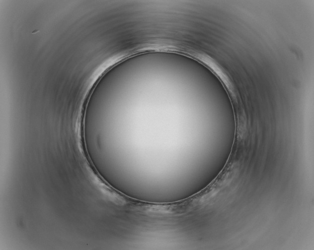 X0000113270861200909241542