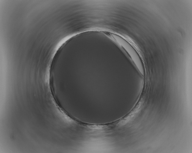 X0000113270862200909241542
