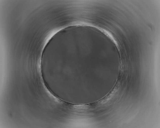 X0000113270863200909241542