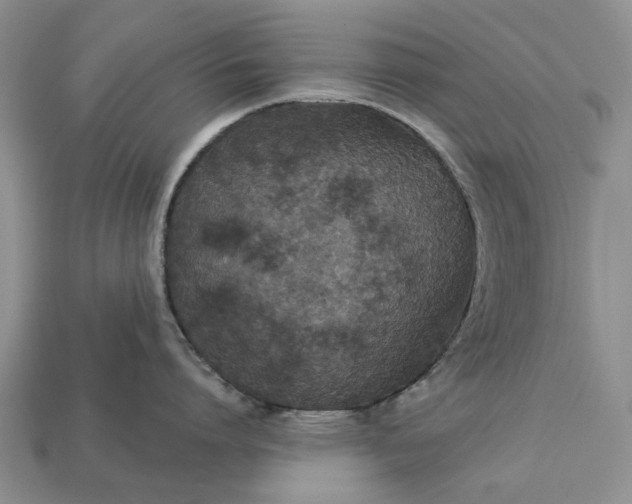 X0000113270864200909241542