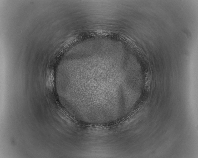 X0000113270866200909241541