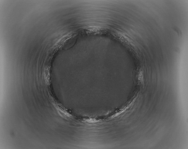 X0000113270868200909241541