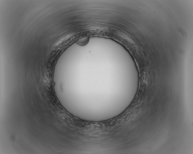 X0000113270869200909241541