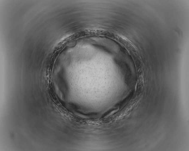 X0000113270870200909241541