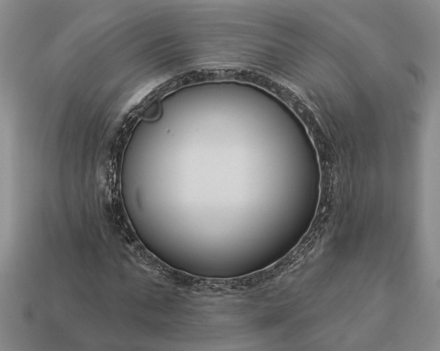 X0000113270871200909241541