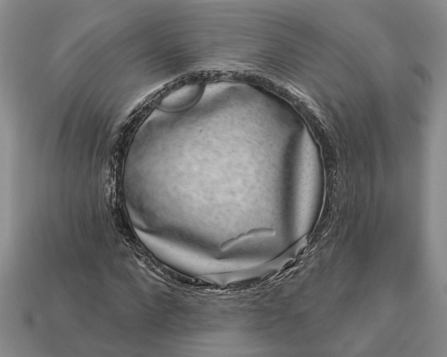 X0000113270872200909241541