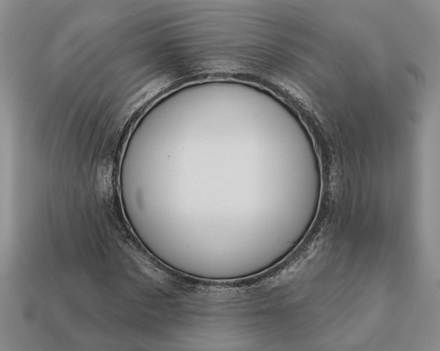X0000113270873200909241541