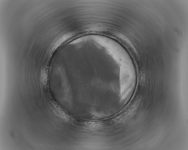 X0000113270874200909241541