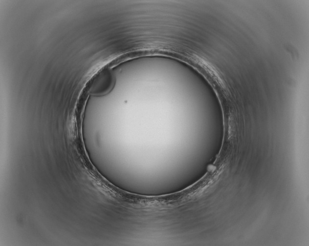 X0000113270876200909241541