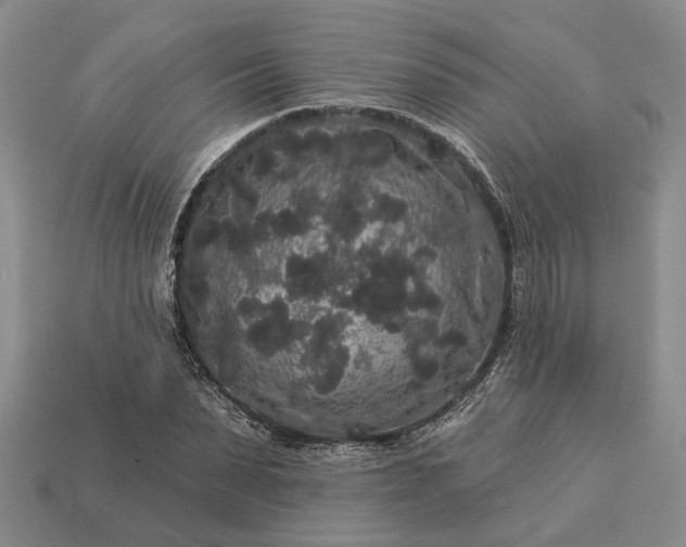 X0000113270879200909241541