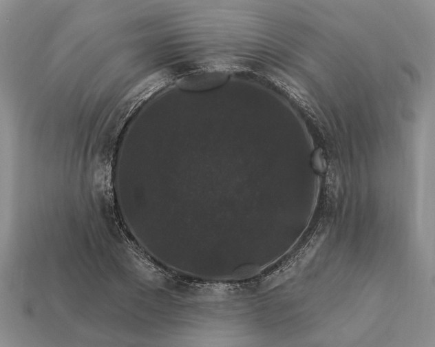 X0000113270881200909241541
