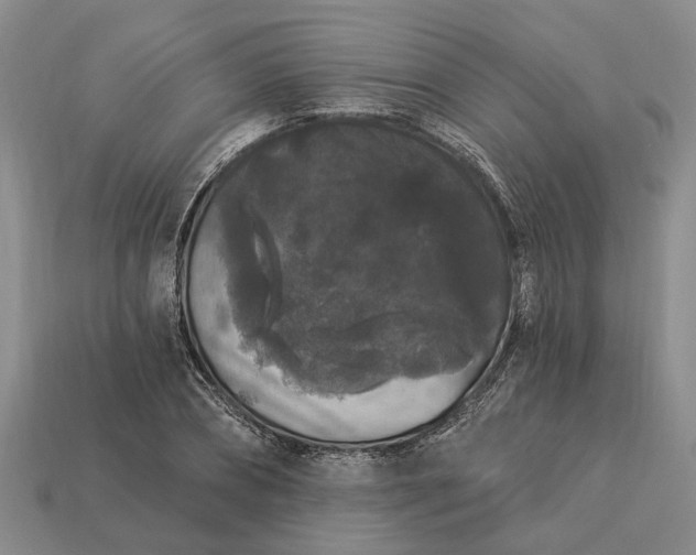 X0000113270882200909241541