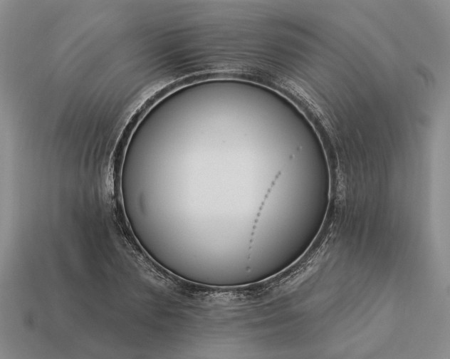 X0000113270883200909241541