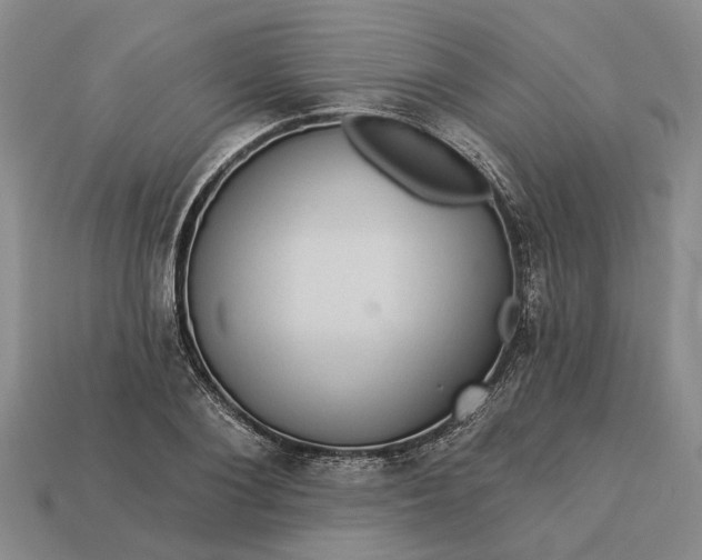 X0000113270884200909241541