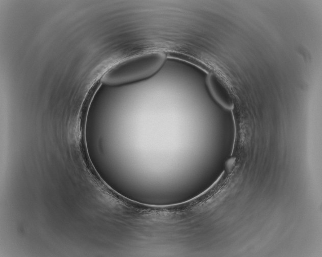 X0000113270885200909241541