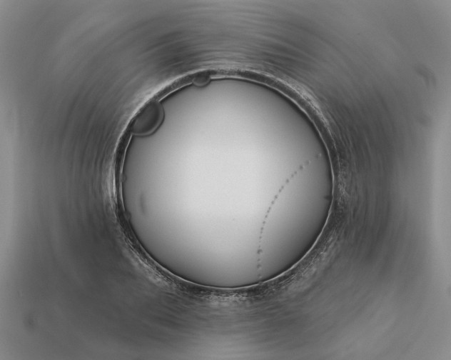X0000113270887200909241541