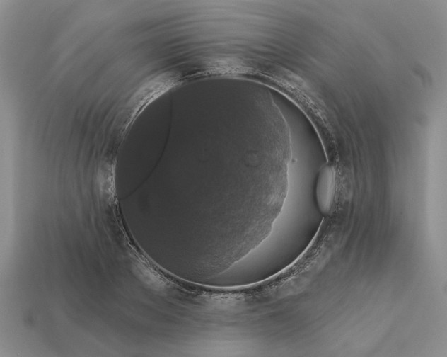 X0000113270889200909241541