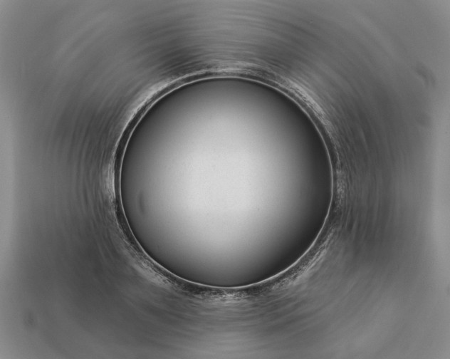 X0000113270891200909241541