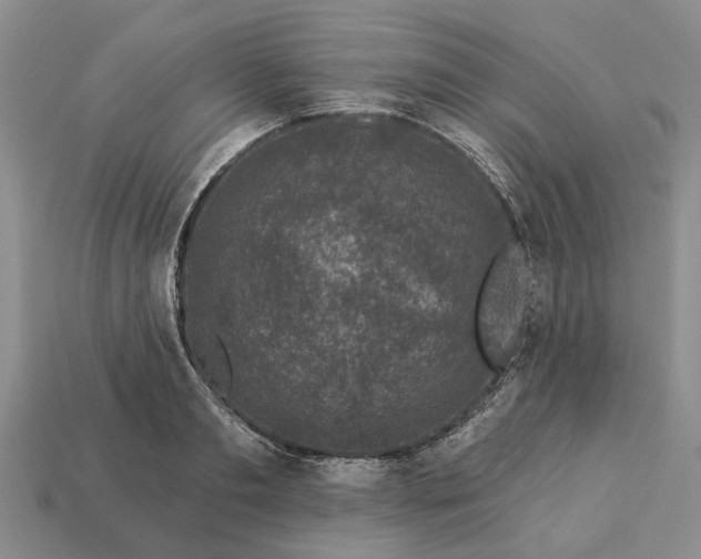 X0000113270893200909241541
