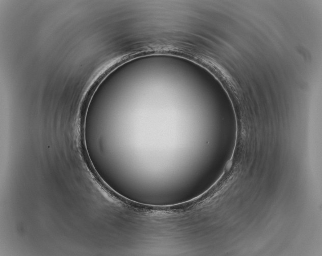X0000113270894200909241541