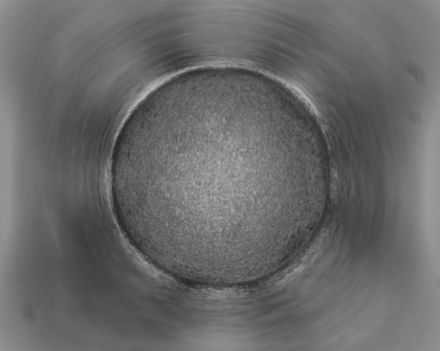 X0000113270895200909241541