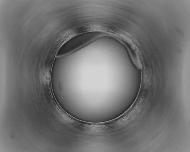 X0000113270897200909241540