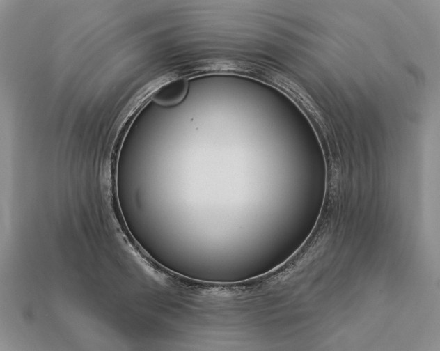 X0000113270898200909241540