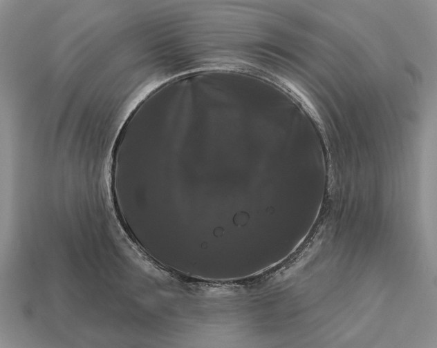 X0000113270899200909241540