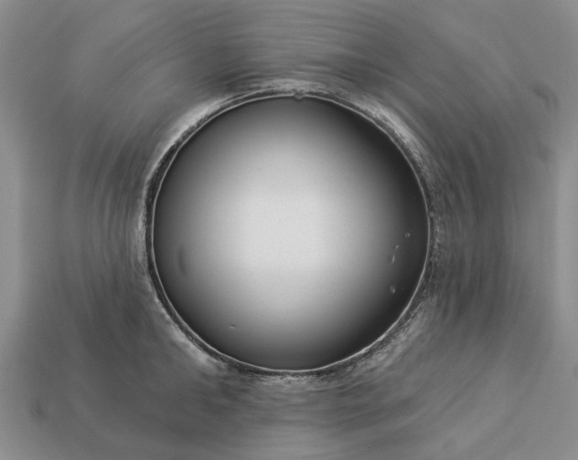 X0000113270902200909241540