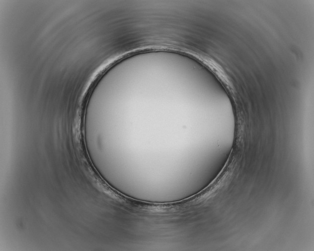 X0000113270904200909241540