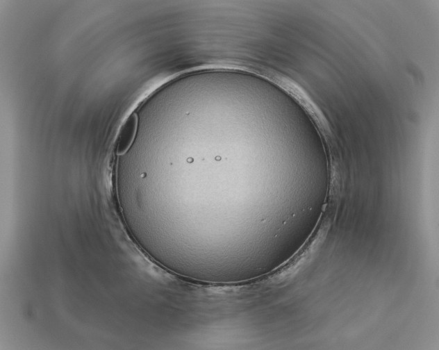 X0000113270908200909241540