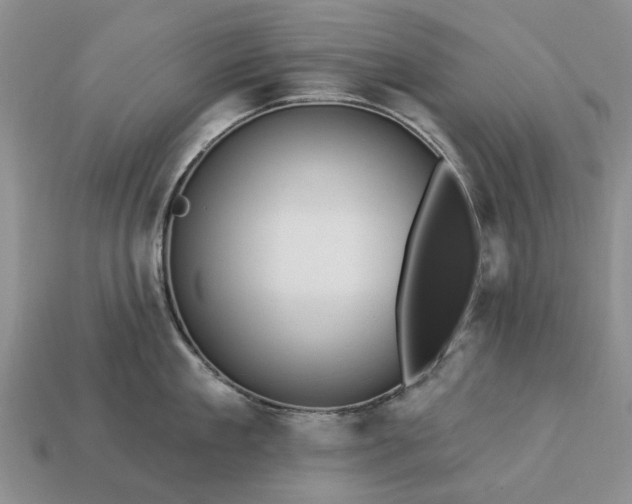 X0000113270909200909241540