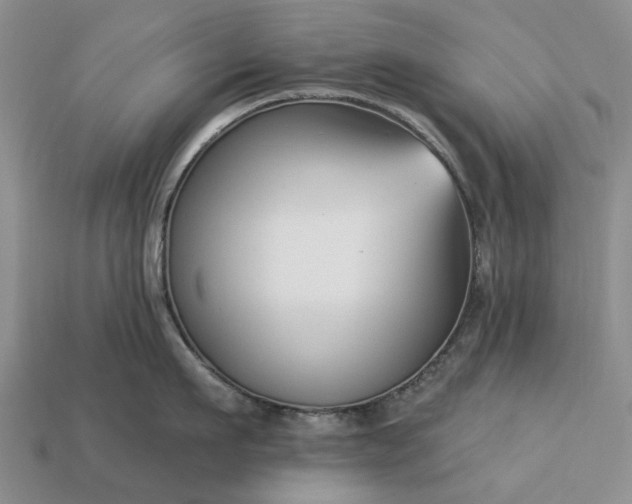 X0000113270911200909241540