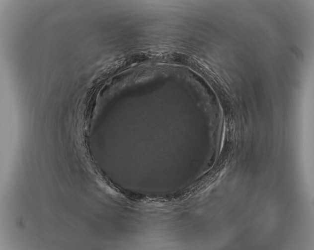 X0000113270913200909241539