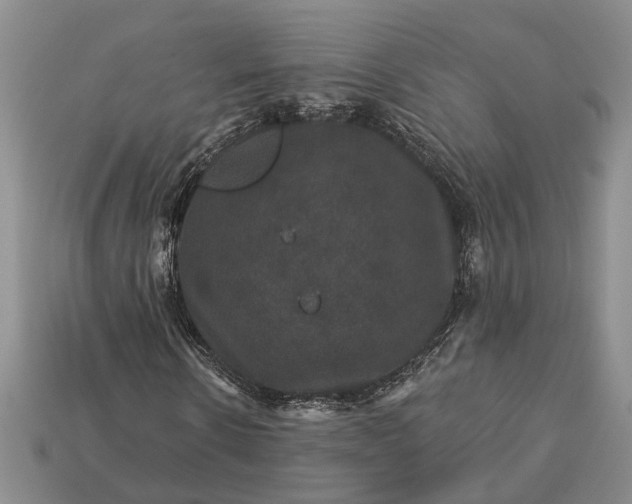 X0000113270914200909241540