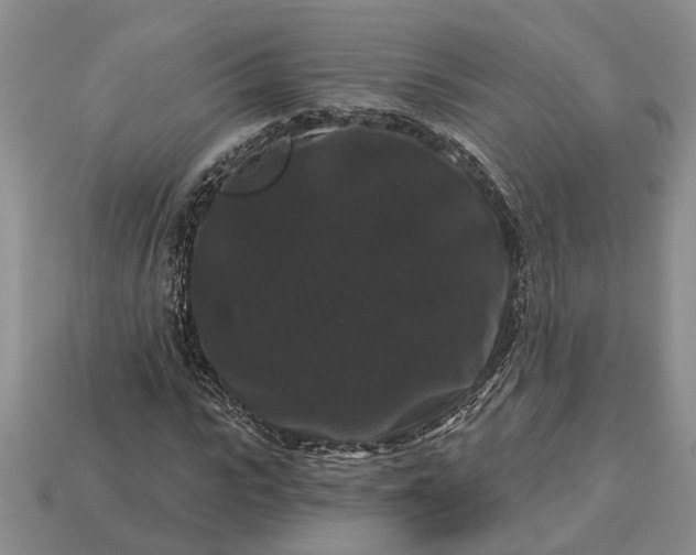 X0000113270919200909241540