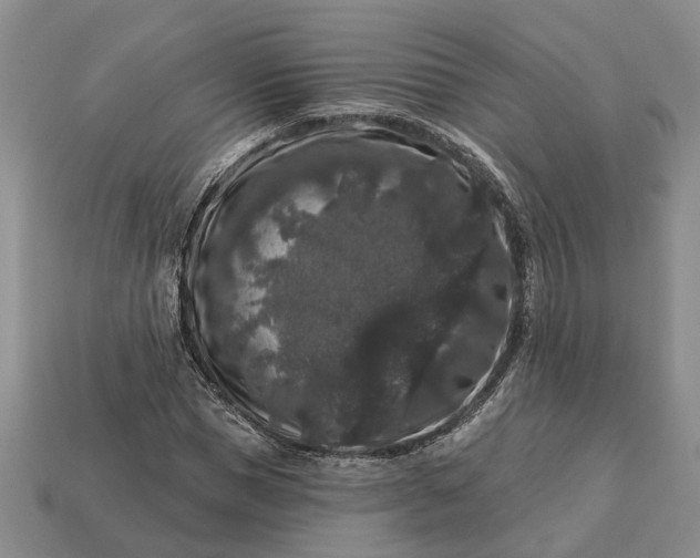 X0000113270921200909241540