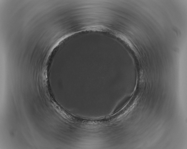 X0000113270923200909241540