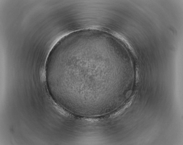 X0000113270924200909241540