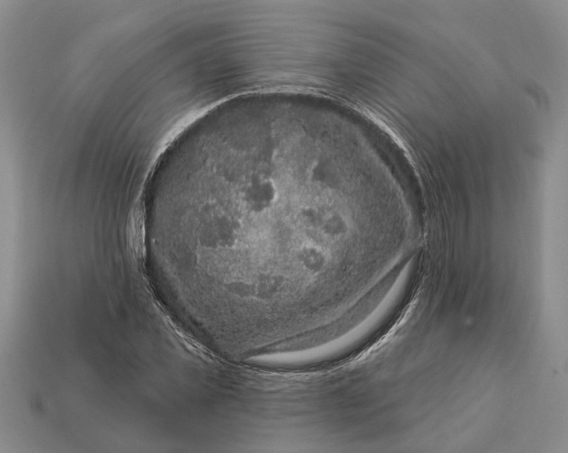 X0000113270925200909241540