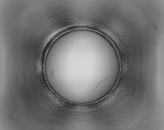 X0000113270927200909241540