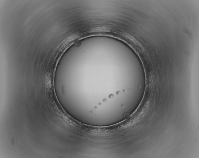 X0000113270929200909241540