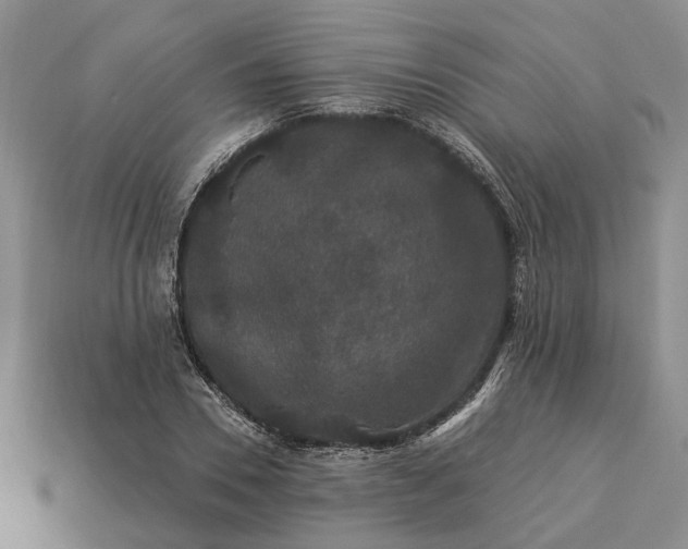 X0000113270930200909241540