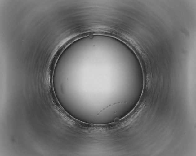 X0000113270931200909241540