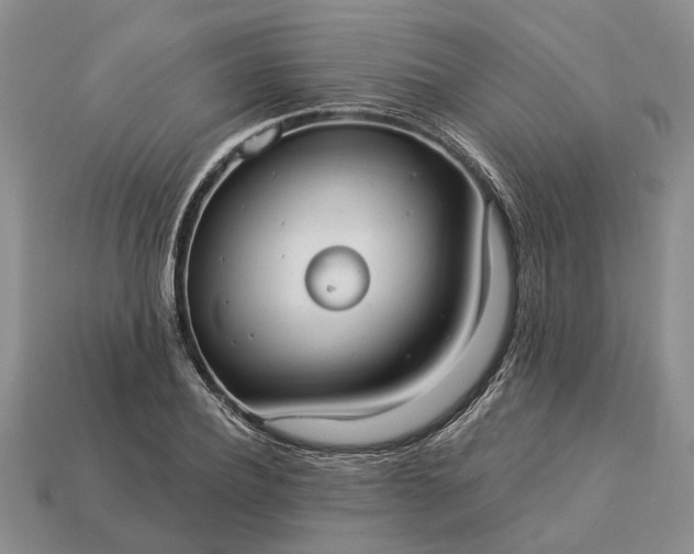 X0000113270932200909241540